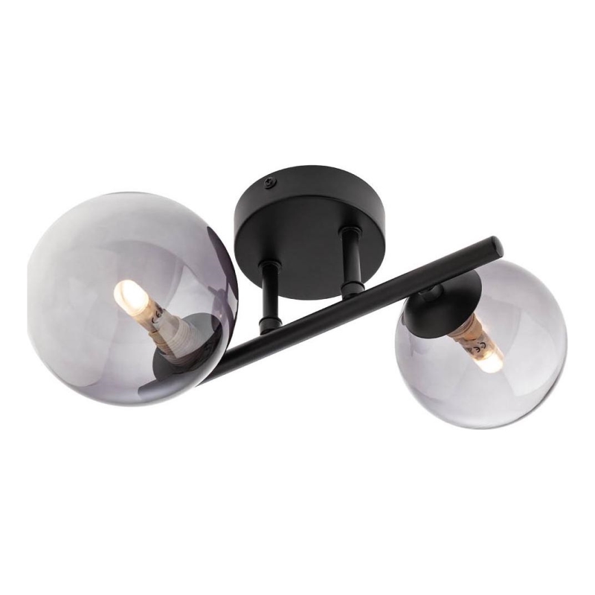 Redo 01-3987 - Loftlampe ASTRA 2xG9/8W/230V sort