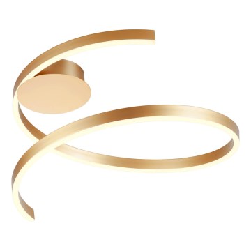Redo 01-4011 - LED dæmpbart loftarmatur SCROLL LED/38W/230V 3000K/4000K/6000K CRI 90 Ø 60 cm guld