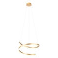 Redo 01-4014 - LED dæmpbar pendel på wire SCROLL LED/38W/230V 3000K/4000K/6000K CRI 90 Ø 60 cm guld