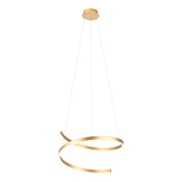 Redo 01-4014 - LED dæmpbar pendel på wire SCROLL LED/38W/230V 3000K/4000K/6000K CRI 90 Ø 60 cm guld