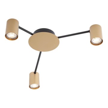 Redo 01-4049 - Spotlampe NOA 3xGU10/10W/230V guldfarvet