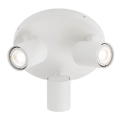 Redo 04-471 - Spotlampe CAMEO 3xGU10/35W/230V hvid