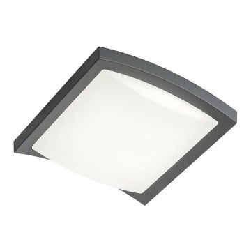 Redo 90007 - Udendørs LED loftlampe TALLIN LED/21W/230V 24,5x24,5 cm IP54 antracit