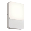Redo 90128 - LED udendørs væglampe COLIN LED/9W/230V 4000K IP54 hvid