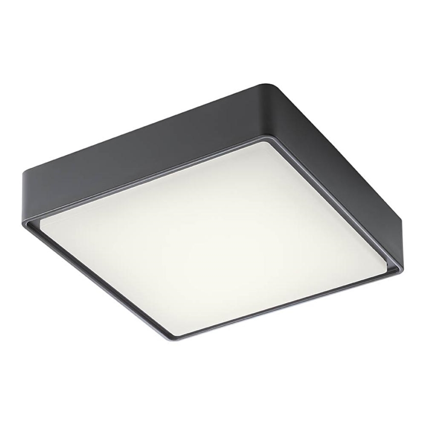 Redo 90157 - Udendørs LED loftlampe MARINA LED/12W/230V 22x22 cm IP65 antracit