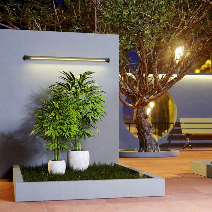 Redo 90242 - LED udendørslampe TACK IP65 LED/15W/230V 3000K IP65 antracit