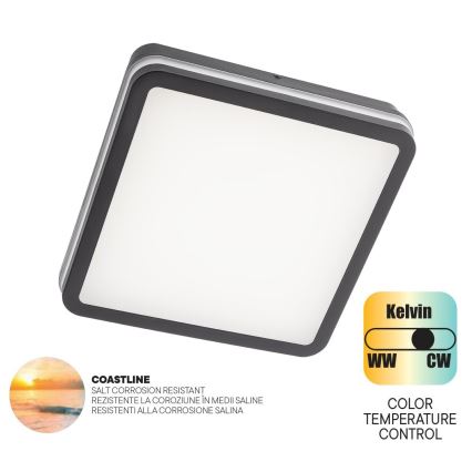 Redo 90288 - Udendørs LED loftlampe ISOLA LED/24W/230V 26x26 cm 3000/4000/6500K IP54 antracit