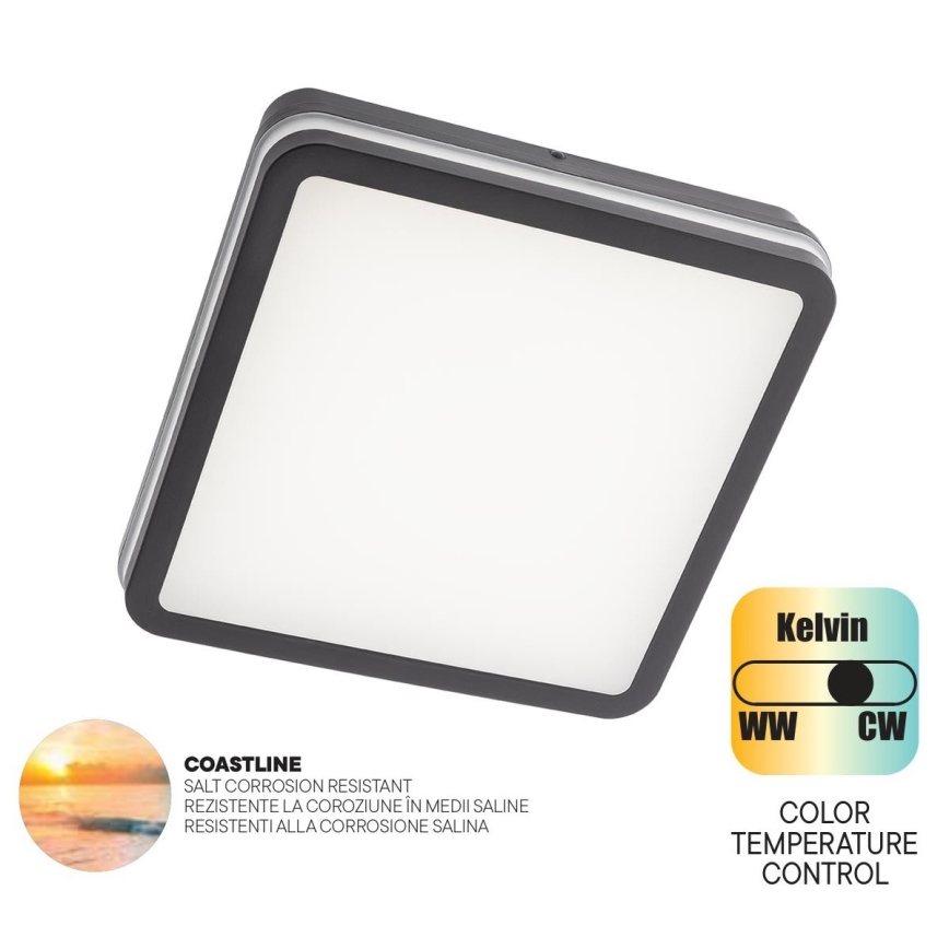 Redo 90288 - Udendørs LED loftlampe ISOLA LED/24W/230V 26x26 cm 3000/4000/6500K IP54 antracit