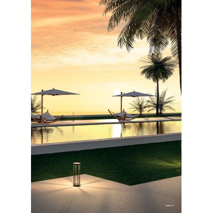 Redo 90579 - LED udendørslampe KALEN LED/8W/230V 3000K 75 cm IP65 antracit