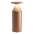 Redo 90590 - Udendørs LED-lampe BIRO LED/12W/230V 3000K 30 cm CRI 90 IP65 brun