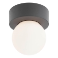 Redo 90641 - Udendørs loftlampe BULK 1xE27/28W/230V IP44 antracit