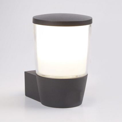 Redo 9449 - LED Udendørs Væglampe PEPE LED/6W/230V IP54 antracit