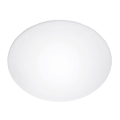 Reserveglas til loftslampe Steinel 738013 E27