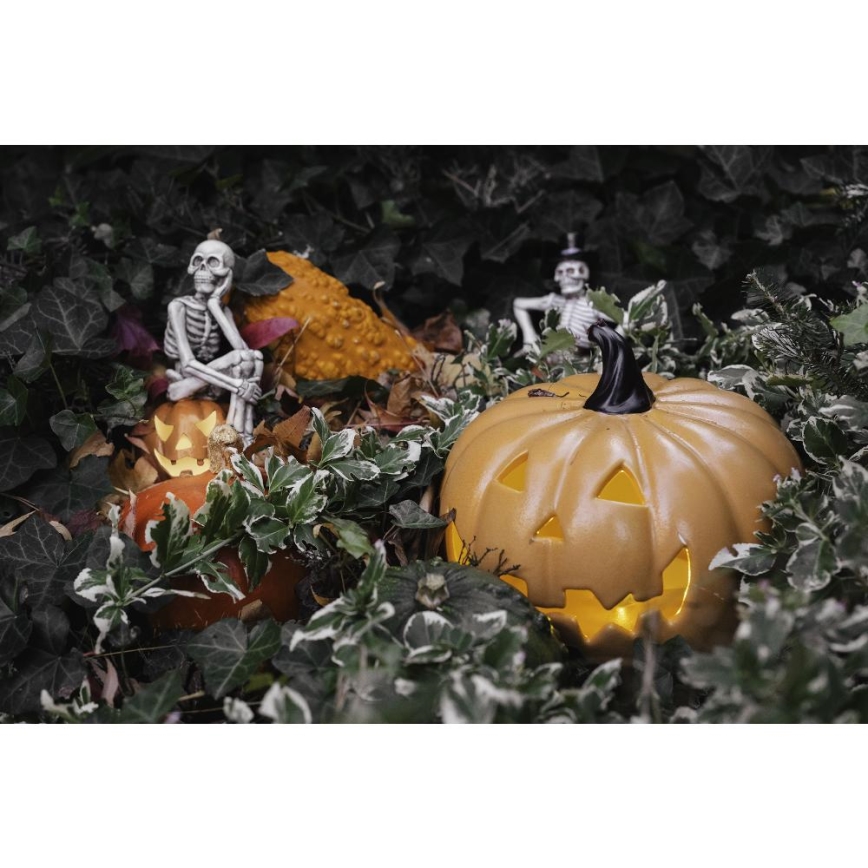 LED dekoration HALLOWEEN LED/2xLR44/varm hvid skelet i græskar resin