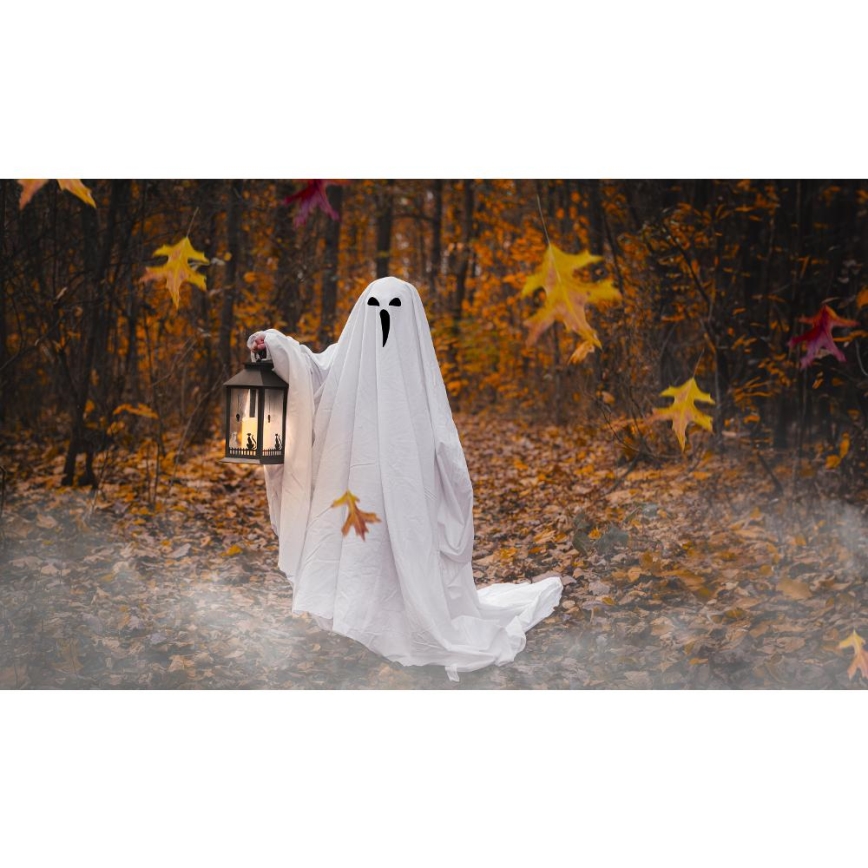 LED Dekoration HALLOWEEN LED/3xAAA/varm hvid lanterne