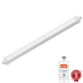 Robust LED lampe dæmpbar LED/40W/230V 3000-6500K Wi-Fi Tuya IP65