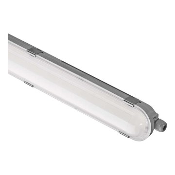 Robust LED lampe dæmpbar MISTY LED/21/26/31/35W/230V 4000K IP66