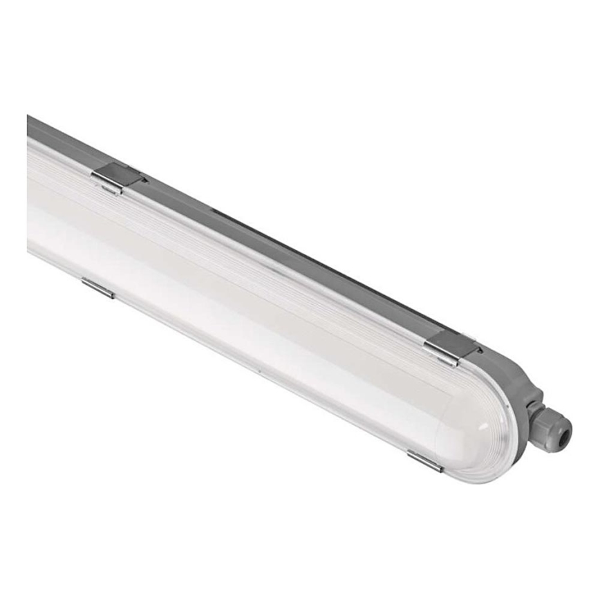 Robust LED lampe dæmpbar MISTY LED/21/26/31/35W/230V 4000K IP66