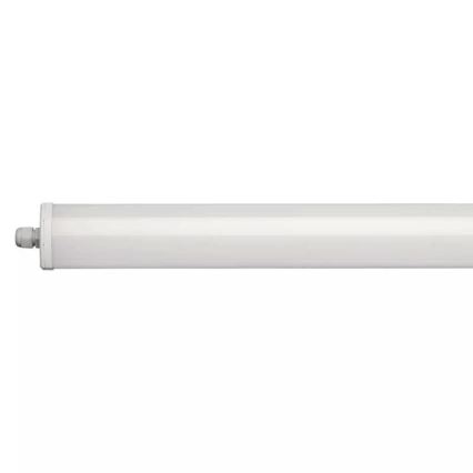 Robust LED lampe LED/36W/230V IP65 4000K