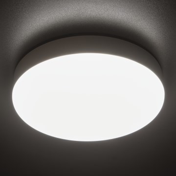 Robust LED loftlampe IPER LED/19W/230V IK10 IP65 rund hvid