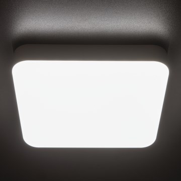 Robust LED loftlampe med bevægelsessensor IPER LED/19W/230V IK10 IP65 kantet hvid