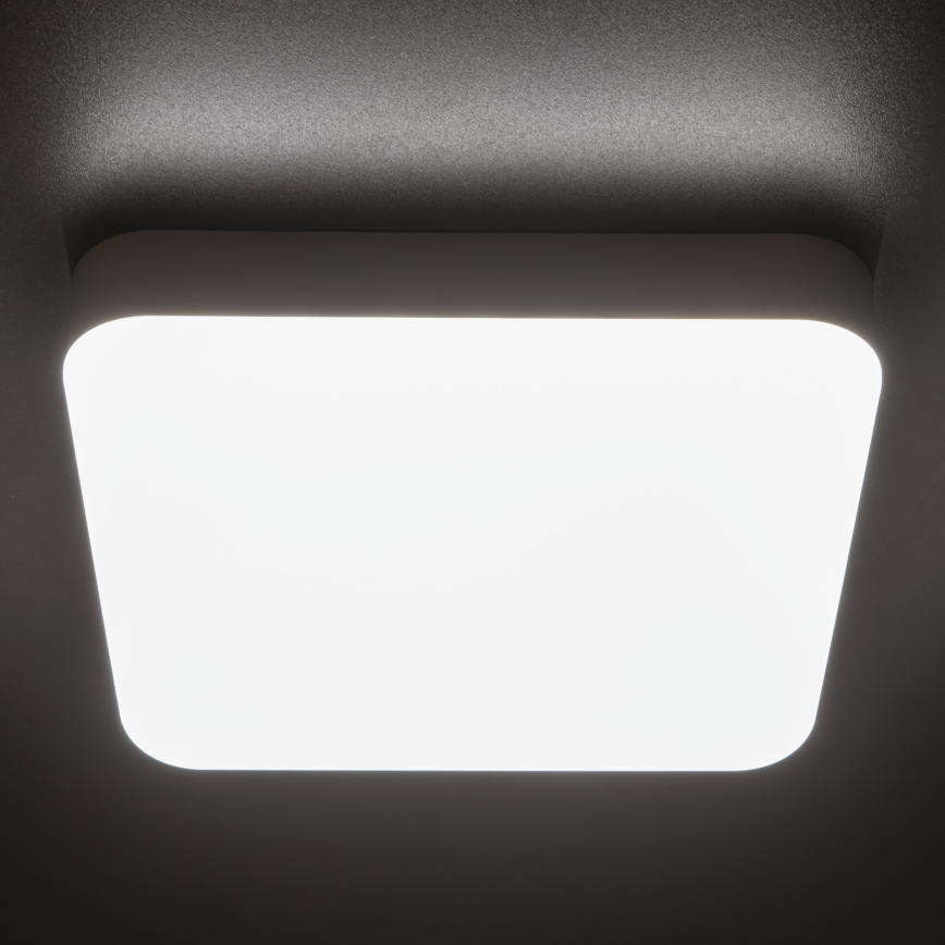Robust LED loftlampe med bevægelsessensor IPER LED/19W/230V IK10 IP65 kantet hvid