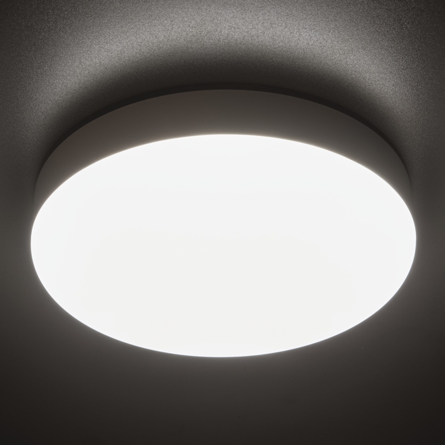 Robust LED loftlampe med bevægelsessensor IPER LED/19W/230V IK10 IP65 rund hvid