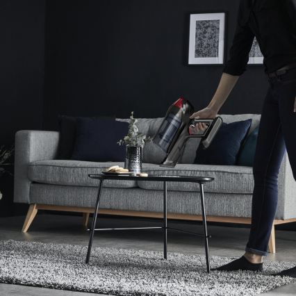 Rowenta - 2-i-1 stavstøvsuger X-FORCE FLEX ANIMAL CARE, 320 W / 25,2 V, sort, 2000 mAh