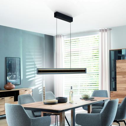 Schöner Wohnen 11316-18 - LED dæmpbar pendel på wire LENA LED/32W/230V sort