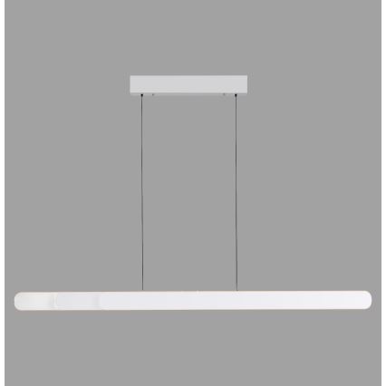Schöner Wohnen 12577-16 - LED dæmpbar pendel på wire ADRIANA ROUND 2xLED/24W/230V 2700/3000/3500/4000/5000K hvid