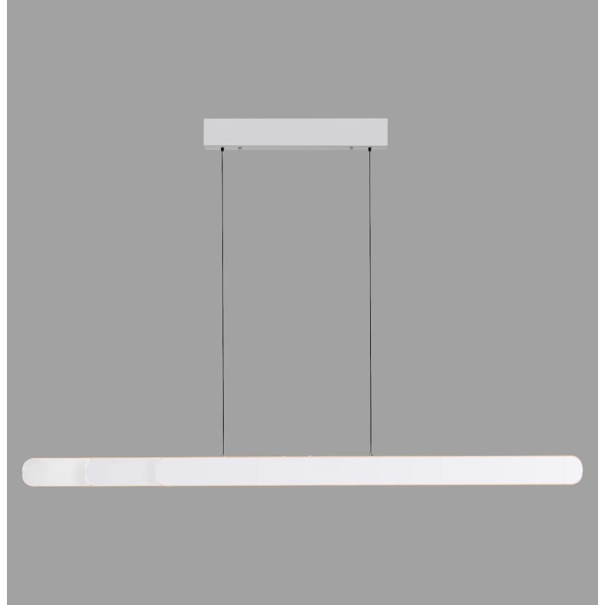 Schöner Wohnen 12577-16 - LED dæmpbar pendel på wire ADRIANA ROUND 2xLED/24W/230V 2700/3000/3500/4000/5000K hvid
