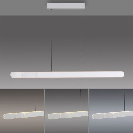 Schöner Wohnen 12577-16 - LED-dæmpbar pendel på vaier ADRIANA ROUND 2xLED/24W/230V 2700/3000/3500/4000/5000K 160 cm hvid
