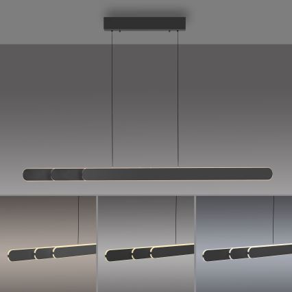 Schöner Wohnen 12577-18 - Dæmpbar LED-pendel på wire ADRIANA ROUND 2xLED/24W/230V 2700/3000/3500/4000/5000K 160 cm sort