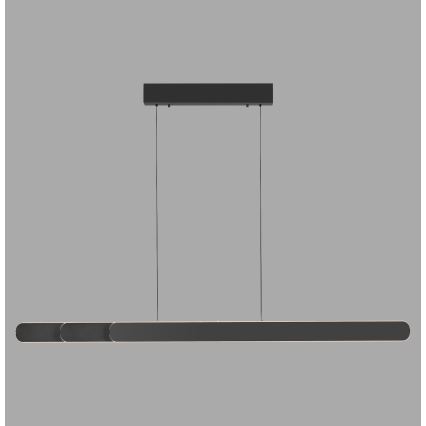 Schöner Wohnen 12577-18 - Dæmpbar LED-pendel på wire ADRIANA ROUND 2xLED/24W/230V 2700/3000/3500/4000/5000K 160 cm sort