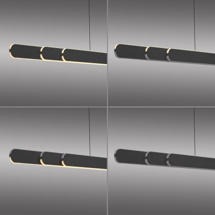 Schöner Wohnen 12577-18 - Dæmpbar LED-pendel på wire ADRIANA ROUND 2xLED/24W/230V 2700/3000/3500/4000/5000K 160 cm sort