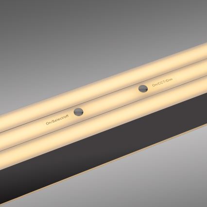 Schöner Wohnen 12577-18 - Dæmpbar LED-pendel på wire ADRIANA ROUND 2xLED/24W/230V 2700/3000/3500/4000/5000K 160 cm sort