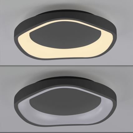 Schöner Wohnen 14233-18 - LED dæmpbar loftlampe MONTA LED/21W/230V Ø 40 cm sort