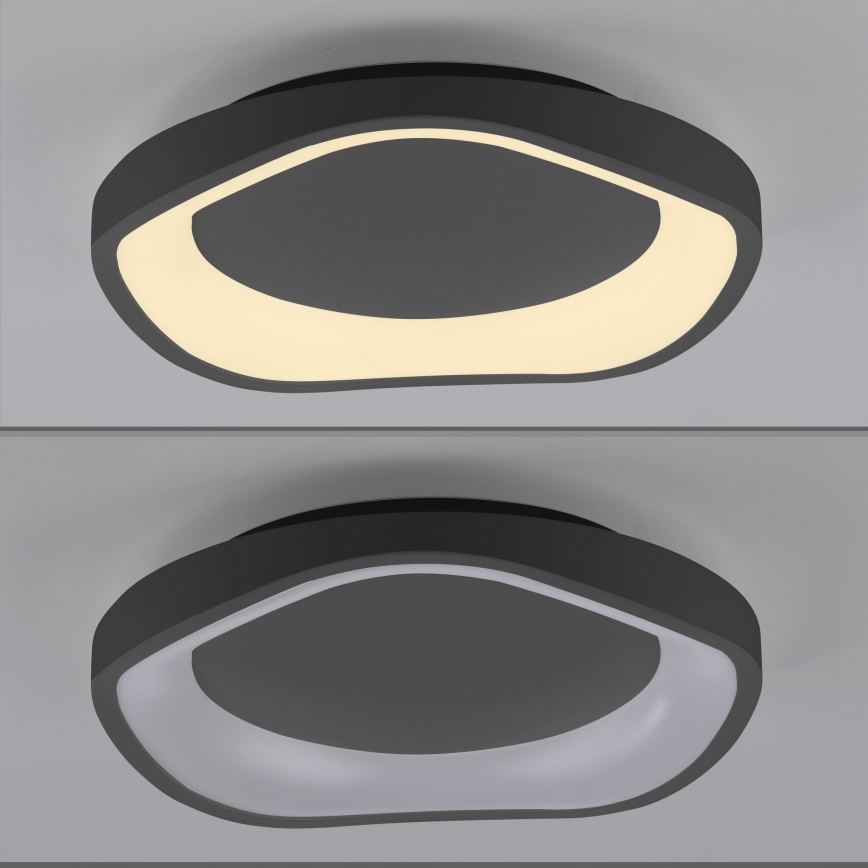 Schöner Wohnen 14233-18 - LED dæmpbar loftlampe MONTA LED/21W/230V Ø 40 cm sort