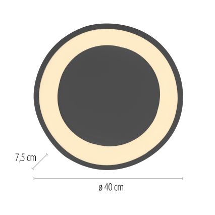Schöner Wohnen 14233-18 - LED dæmpbar loftlampe MONTA LED/21W/230V Ø 40 cm sort