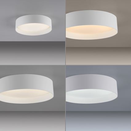 Schöner Wohnen 14593-16 - LED dæmpbar loftlampe TAVOLI LED/10W/230V 2700-6500K Ø 28,5 cm hvid + fjernbetjening