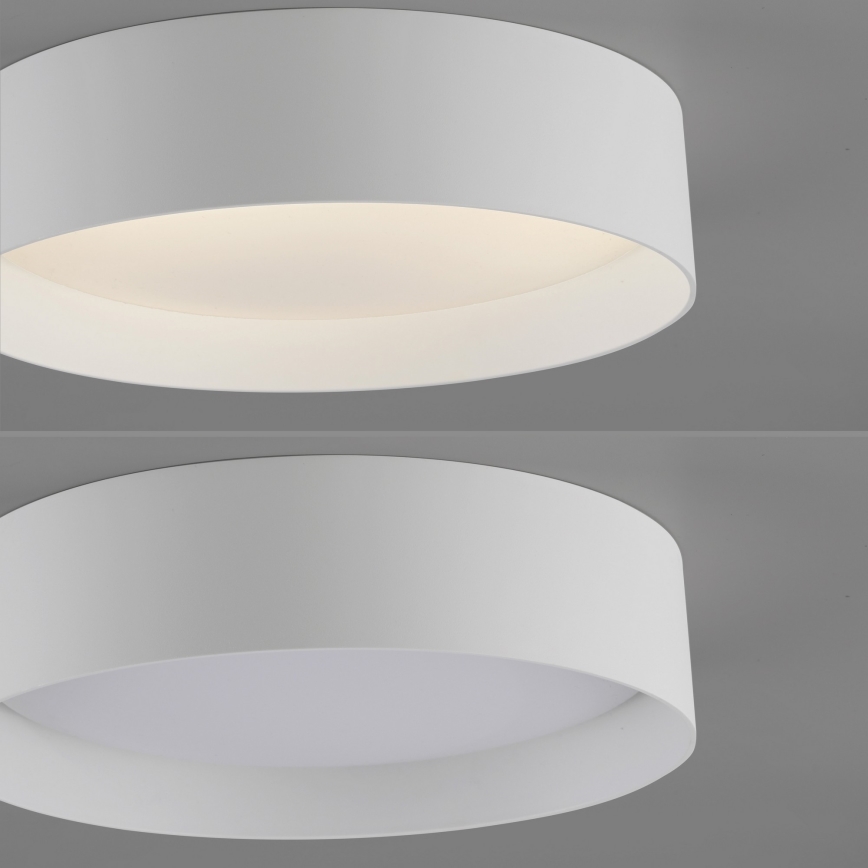 Schöner Wohnen 14593-16 - LED dæmpbar loftlampe TAVOLI LED/10W/230V 2700-6500K Ø 28,5 cm hvid + fjernbetjening