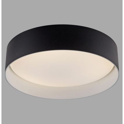 Schöner Wohnen 14593-18 - Dæmpbar LED-loftlampe TAVOLI LED/10W/230V 2700-6500K Ø 28,5 cm sort + fjernbetjening