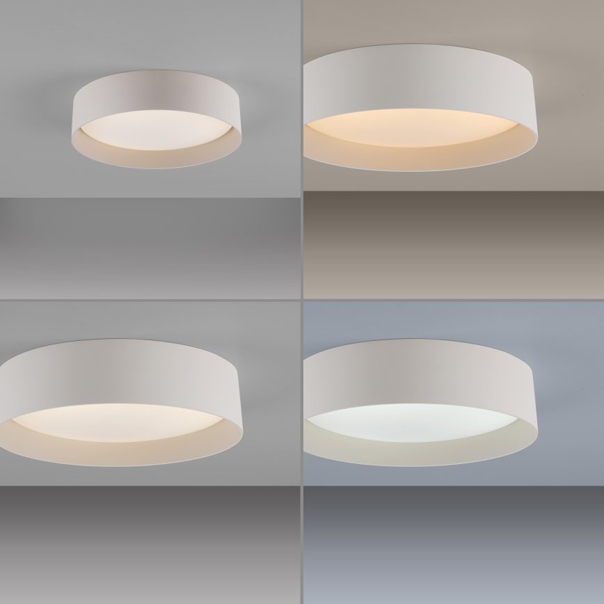 Schöner Wohnen 14593-39 - LED-dæmpbar loftlampe TAVOLI LED/10 W/230 V 2700-6500K Ø 28,5 cm grå, inkl. fjernbetjening