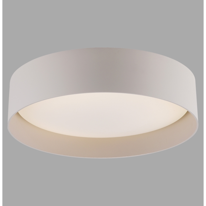 Schöner Wohnen 14593-39 - LED-dæmpbar loftlampe TAVOLI LED/10 W/230 V 2700-6500K Ø 28,5 cm grå, inkl. fjernbetjening