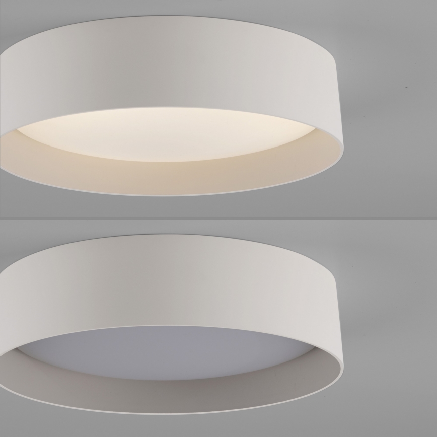 Schöner Wohnen 14593-39 - LED-dæmpbar loftlampe TAVOLI LED/10 W/230 V 2700-6500K Ø 28,5 cm grå, inkl. fjernbetjening