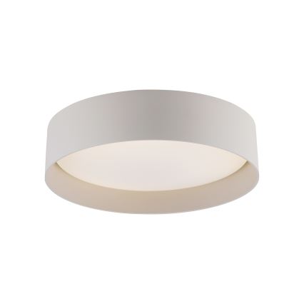 Schöner Wohnen 14593-39 - LED-dæmpbar loftlampe TAVOLI LED/10 W/230 V 2700-6500K Ø 28,5 cm grå, inkl. fjernbetjening