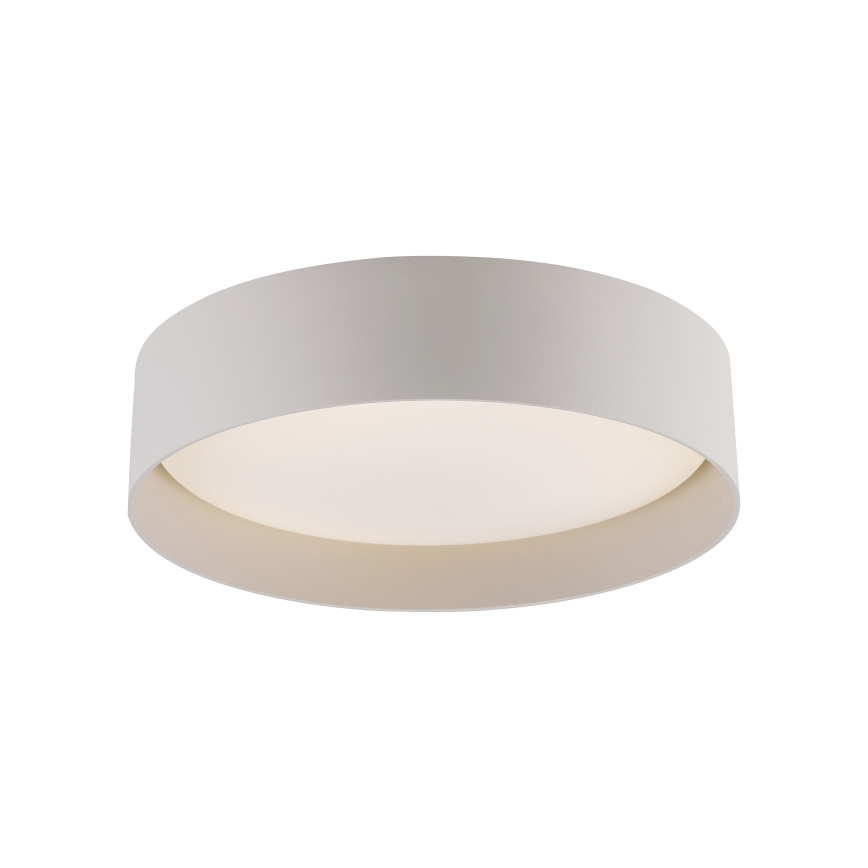 Schöner Wohnen 14593-39 - LED-dæmpbar loftlampe TAVOLI LED/10 W/230 V 2700-6500K Ø 28,5 cm grå, inkl. fjernbetjening