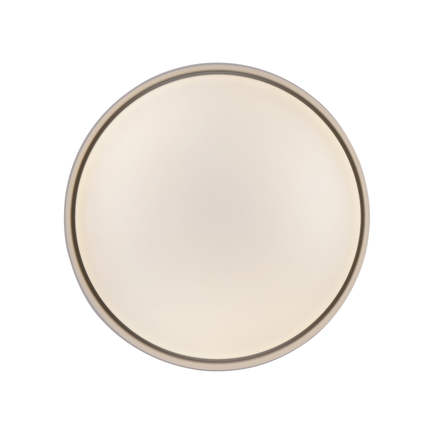 Schöner Wohnen 14593-39 - LED-dæmpbar loftlampe TAVOLI LED/10 W/230 V 2700-6500K Ø 28,5 cm grå, inkl. fjernbetjening