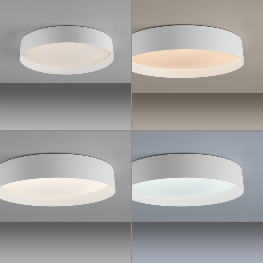 Schöner Wohnen 14594-16 - LED-dæmpbar loftlampe TAVOLI LED/20W/230V 2700-6500K Ø 39 cm hvid + fjernbetjening