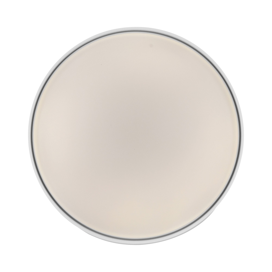 Schöner Wohnen 14594-16 - LED-dæmpbar loftlampe TAVOLI LED/20W/230V 2700-6500K Ø 39 cm hvid + fjernbetjening